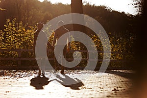 Back view of silhouette of a couple lovers walking holds hands in the park at sunset. Love, youth, happiness concept