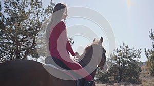 Back view of a smiling Caucasian female equestrian sitting in sunlight on the horseback and riding away. Cute brunette