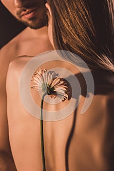 back view of tender couple hugging and holding gerbera flower,