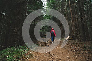 Back view on a tourist woman walking in the mountain woods with a stray dog. Hiker girl in a red jacket strolling in the fir