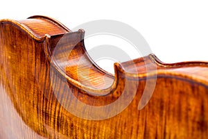 Back view of a violin center bout