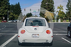 Back view of VW Beetle