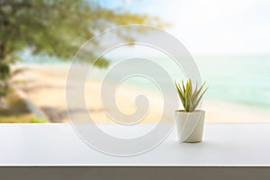 Back view of white desktop with decorative plant, Blurry sea beach view background