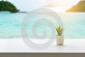 Back view of white desktop with decorative plant, Blurry sea beach view background