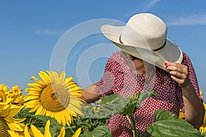 Back view of woman in hat looking at sunflower