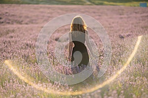 Back view woman lavender sunset. Happy woman in black dress. Aromatherapy concept, lavender oil, photo session in