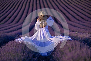 Back view woman lavender sunset. Happy woman in white dress holds lavender bouquet. Aromatherapy concept, lavender oil