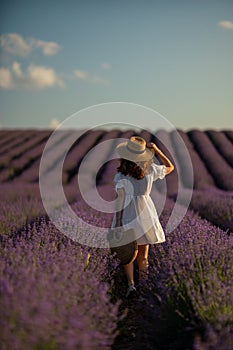 Back view woman lavender sunset. Happy woman in white dress holds lavender bouquet. Aromatherapy concept, lavender oil