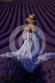 Back view woman lavender sunset. Happy woman in white dress holds lavender bouquet. Aromatherapy concept, lavender oil
