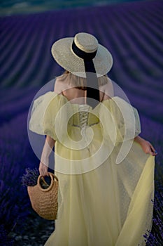 Back view woman lavender sunset. Happy woman in yellow dress holds lavender bouquet. Aromatherapy concept, lavender oil