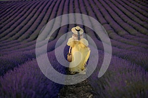 Back view woman lavender sunset. Happy woman in yellow dress holds lavender bouquet. Aromatherapy concept, lavender oil