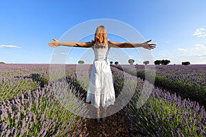 Back view of a woman outstretching arms in a lavender field