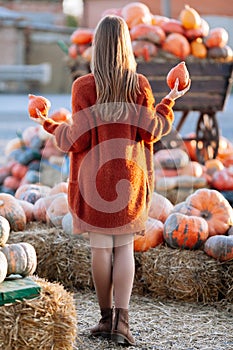 Back view of woman with small pumpkin in hand near wooden wagon with pumpkin on farmers market in brown sweater. Cozy