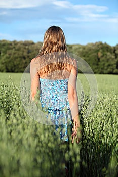 Back view of a woman walking across an oat meadow photo