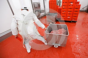 Back view of a worker arranged raw meat minced in an industrial process in a stainless steel crate at a meat factory