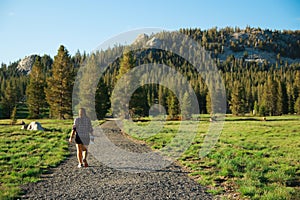 Back view of a young tourist girl, enjoying valley and Tuolumne meadows in Yosemite National Park. California, USA