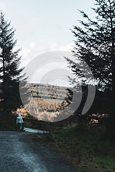 Back view of a young woman hiking in Irish forest. Hiking girl is walking in gloomy mystical and dark forest - thriller scene