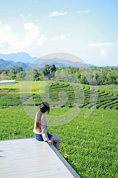 Back view of young woman looking too Choui Fong tea plantation. - Chiang Rai Thailand