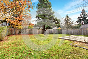 Back yard with deck and grass.