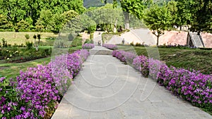 Back Yard Garden stone path fence with beautiful autumn flowers and grass growing up side of stone way. Gardening around house