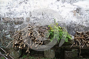 Back yard of home in Anhui, China