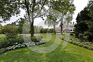 Back yard of luxury home