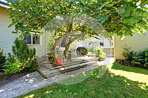 Back yard walkout deck with table set and big tree