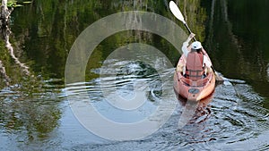 Back young adult woman paddling kayaking canoe on a lake on summer day