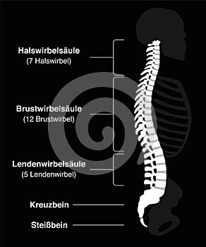 Backbone GERMAN Black Background