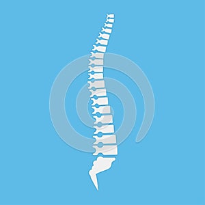 Backbone icon, human spine template. Vector illustration