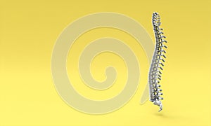 Backbone on yellow background