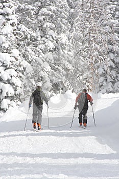 Backcountry hiking in winter