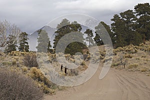 Backcountry road, Great Sand Dunes National Park, Colorado