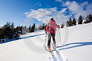 Backcountry skier photo