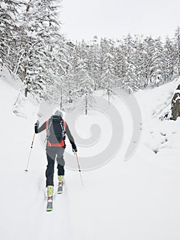 Backcountry skier