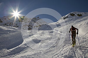 Backcountry skier photo