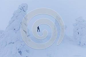 Backcountry skier pushing through the fog on a snowy slope. Ski touring in harsh winter conditions. Ski tourer sporting