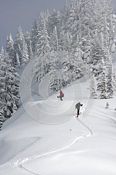 Backcountry skiers photo