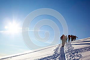 Backcountry skiers photo