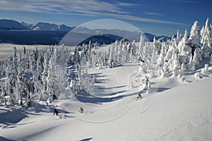 Backcountry Skiing 5