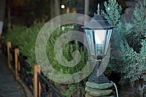 The backdrop is Bush that little light. Magic street lamp close-up with copyspace. Warm lantern light on a blurry background .A