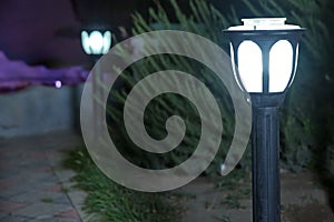 The backdrop is Bush that little light. Magic street lamp close-up with copyspace. Warm lantern light on a blurry background .A