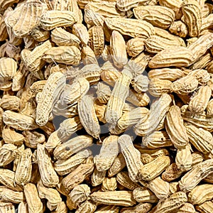 Backdrop with close-up of unshelled peanuts of earthy tones