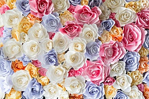 Backdrop of colorful paper roses