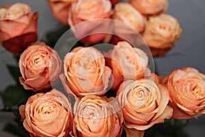 Backdrop of colorful paper roses background in a wedding reception with soft colors. rose