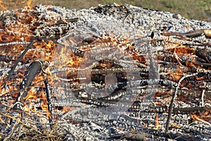 Burning wood in huge bonfire. Natural background of fire and ashes with copy space photo