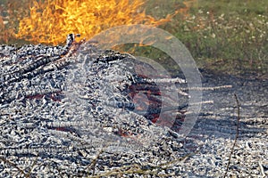 Burning wood in huge bonfire. Natural background of fire and ashes with copy space