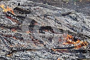 Burning wood in huge bonfire. Natural background of fire and ashes with copy space photo