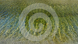 Backdrop of Green Blue Rippling Water photo
