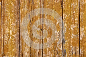 Backdrop of shabby wooden boards